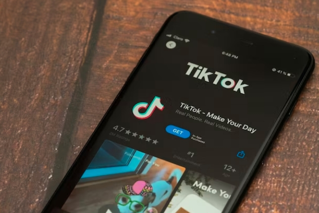 TikTok analytics tools